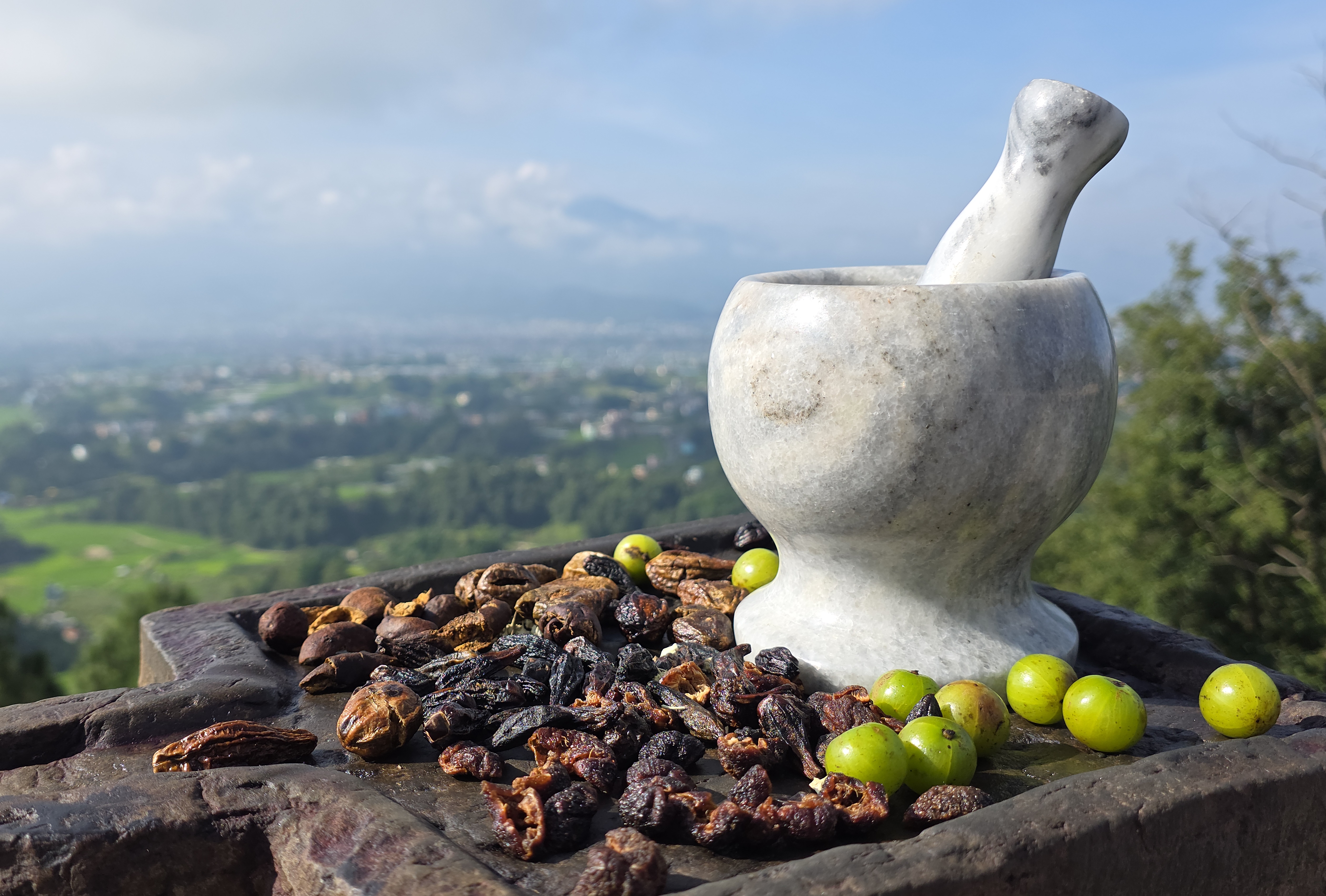Preparing botanical ingredients